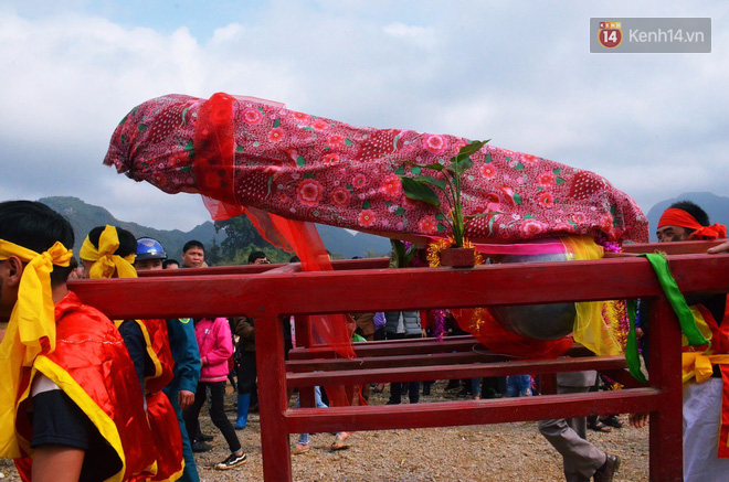 Nhiều người dân chen chân chụp ảnh bên cạnh của quý khổng lồ trong lễ hội độc nhất vô nhị ở Việt Nam